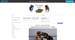 Desktop Screenshot of garfin.websnadno.cz