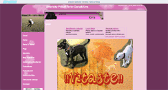 Desktop Screenshot of americkypitbullterier.websnadno.cz