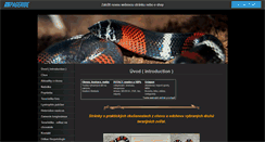 Desktop Screenshot of mojihadi.websnadno.cz