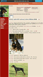 Mobile Screenshot of doberman.websnadno.cz