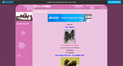 Desktop Screenshot of galeriapap.websnadno.cz