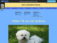 Tablet Screenshot of bisonek-andy.websnadno.cz