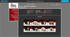 Desktop Screenshot of kogitoeaster.websnadno.cz