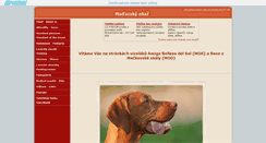 Desktop Screenshot of amigo.websnadno.cz