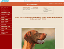 Tablet Screenshot of amigo.websnadno.cz