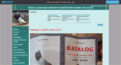 Desktop Screenshot of ceskystavak.websnadno.cz