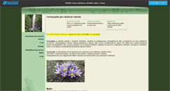 Desktop Screenshot of homeopatie.websnadno.cz