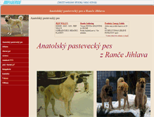 Tablet Screenshot of anatolskypasteveckypes.websnadno.cz