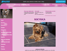 Tablet Screenshot of nikynka.websnadno.cz