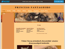 Tablet Screenshot of princess-fantaghiro.websnadno.cz