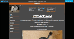 Desktop Screenshot of cincily.websnadno.cz