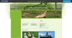 Desktop Screenshot of ceskyrejdic.websnadno.cz