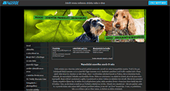 Desktop Screenshot of benji.websnadno.cz