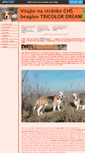 Mobile Screenshot of beagle.websnadno.cz