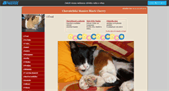 Desktop Screenshot of morcouni.websnadno.cz
