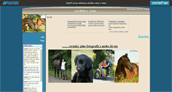 Desktop Screenshot of jana-malikova.websnadno.cz