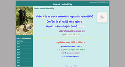 Desktop Screenshot of kratoli.websnadno.cz