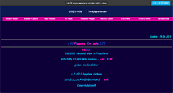 Desktop Screenshot of gudyork.websnadno.cz