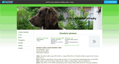 Desktop Screenshot of erna-mmo.websnadno.cz