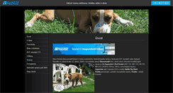 Desktop Screenshot of biwi.websnadno.cz
