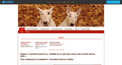 Desktop Screenshot of bulterier.websnadno.cz
