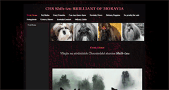 Desktop Screenshot of brilliantofmoravia.websnadno.cz