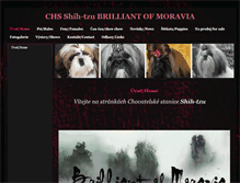 Tablet Screenshot of brilliantofmoravia.websnadno.cz