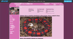 Desktop Screenshot of civavy.websnadno.cz