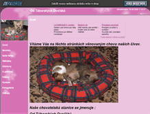 Tablet Screenshot of civavy.websnadno.cz
