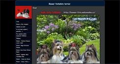Desktop Screenshot of biewer-york-terrier.websnadno.cz