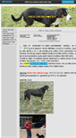 Mobile Screenshot of entlebuch-english.websnadno.cz
