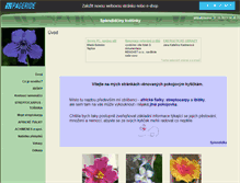 Tablet Screenshot of pokojovky-splendidka.websnadno.cz