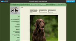Desktop Screenshot of falaksa.websnadno.cz