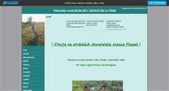 Desktop Screenshot of bijou.websnadno.cz