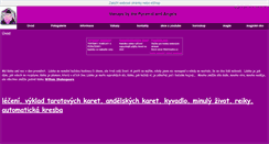Desktop Screenshot of andelepyramida.websnadno.cz