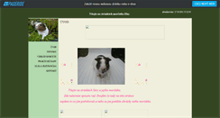 Desktop Screenshot of morcatka.websnadno.cz